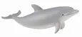 Delfin S