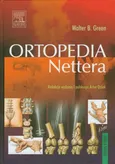 Ortopedia Nettera - Outlet - Green Walter B.