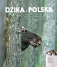 Dzika Polska - Outlet - Tomasz Kłosowski