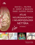 Atlas neuroanatomii i neurofizjologii Nettera - Outlet - Felten D.L.