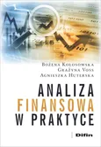 Analiza finansowa w praktyce - Outlet - Agnieszka Huterska