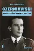Czerniawski - Outlet - Andrzej Brzeziecki