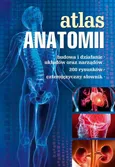 Atlas anatomii - Outlet - Justyna Mazurek