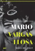 Burzliwe czasy - Llosa Mario Vargas