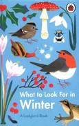 What to Look For in Winter - Elizabeth Jenner