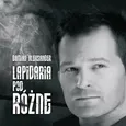 Lapidaria podRóżne - Damian Aleksander