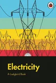 A Ladybird Book: Electricity - Elizabeth Jenner