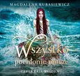 Wszystko pochłonie morze - Magdalena Kubasiewicz