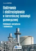 Elektrownie i elektrociepłownie w hierarchicznej technologii gazowo-gazowej - Ryszard Bartnik