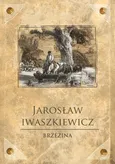 Brzezina - Jarosław Iwaszkiewicz