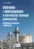 Elektrownie i elektrociepłownie w hierarchicznej technologii gazowo-gazowej - Ryszard Bartnik
