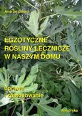Egzotyczne rośliny lecznicze w naszym domu - Andrzej Sarwa