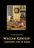 Wacław Rzewuski i przygody jego w Arabii - Lucjan Siemieński
