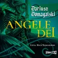 Angele Dei - Dariusz Domagalski