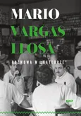 Rozmowa w katedrze - Outlet - Vargas Llosa Mario