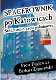 Spacerownik po Katowicach Śródmieście Część Południowa - Piotr Fuglewicz