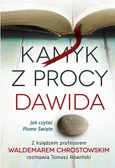 Kamyk z procy Dawida - Tomasz Rowiński