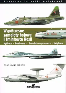 Współczesne samoloty bojowe i śmigłowce Rosji - Outlet - Ryan Cunningham