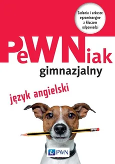 PeWNiak gimnazjalny Język angielski + CD. Outlet - uszkodzona okładka - Outlet - Agnieszka Szurek, Anna Szafarz