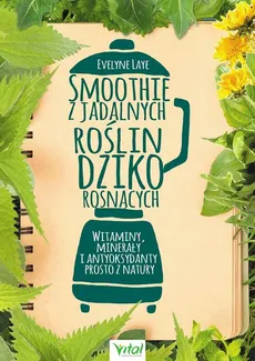 Smoothie z jadalnych roślin dziko rosnących - Outlet - Evelyne Laye