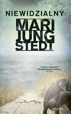 Niewidzialny - Mari Jungstedt