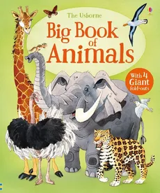 Big Book of Animals - Outlet - Hazel Maskell