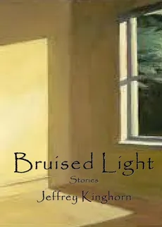 Bruised Light - Jeffrey Kinghorn