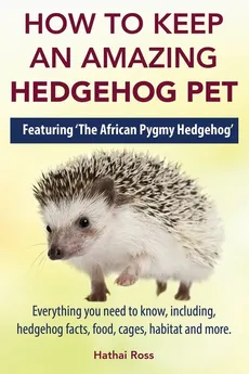 How to Keep an Amazing Hedgehog Pet. Featuring 'The African Pygmy Hedgehog' !! - Hathai Ross