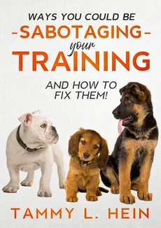 Ways You Could Be Sabotaging Your Training Sessions - Tammy L Hein