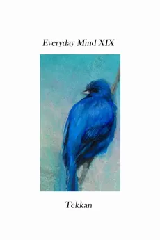 Everyday Mind XIX - Tekkan