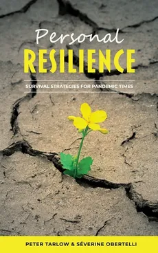 Personal Resilience - Peter Tarlow