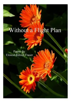 Without a Flight Plan - Elouise Renich Fraser