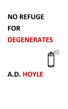 No Refuge for Degenerates - A D Hoyle