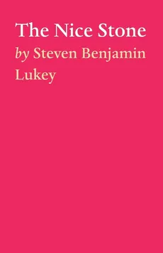 The Nice Stone - Steven Benjamin Lukey