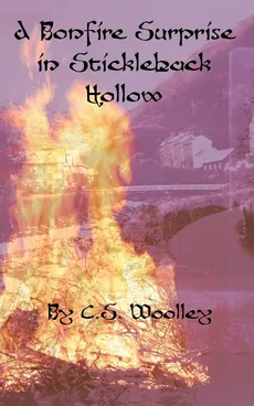 A Bonfire Surprise in Stickleback Hollow - C.S. Woolley