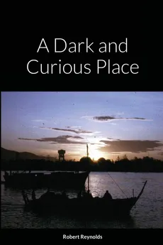 A Dark and Curious Place - Robert Reynolds