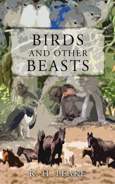 Birds and Other Beast - R.H. PEAKE