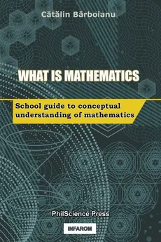 What is Mathematics - Catalin Barboianu