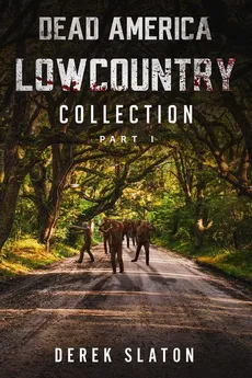 Dead America Lowcountry Collection Part 1 - Books 1 - 6 - Derek Slaton
