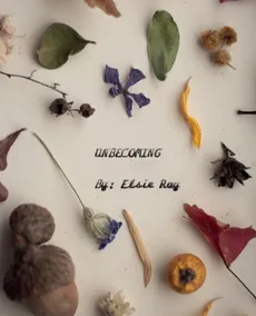 Unbecoming - Elsie Ray