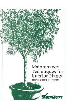 Maintenance Techniques for Interior Plants - Hip Pocket Edition - David L. Hamilton
