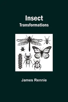 Insect Transformations - James Rennie