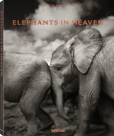 Elephants in Heaven - Joachim Schmeisser