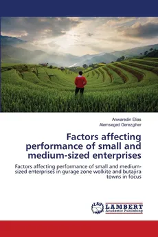 Factors affecting performance of small and medium-sized enterprises - Anwaredin Elias