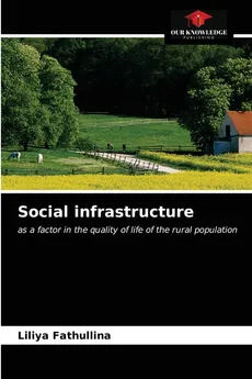 Social infrastructure - Liliya Fathullina