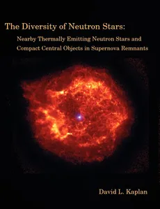 The Diversity of Neutron Stars - David L. Kaplan