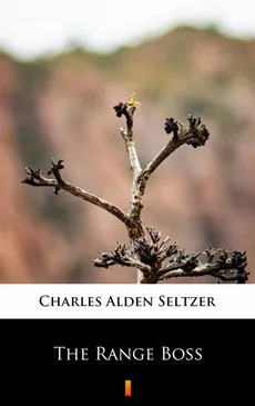 The Range Boss - Charles Alden Seltzer