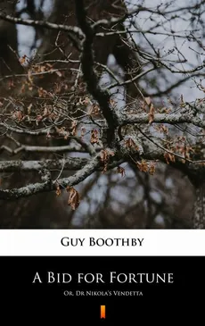 A Bid for Fortune - Guy Boothby