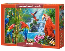 Puzzle 2000 Parrot Meeting