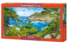 Puzzle 4000 Californian Coast